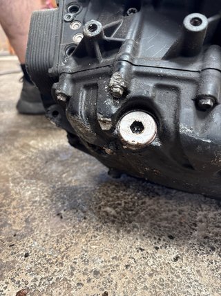 Motor BMW F 700 GS