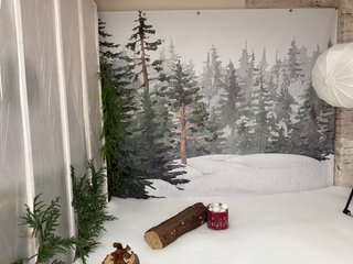 Fondo Navidad Invierno 300x250cm