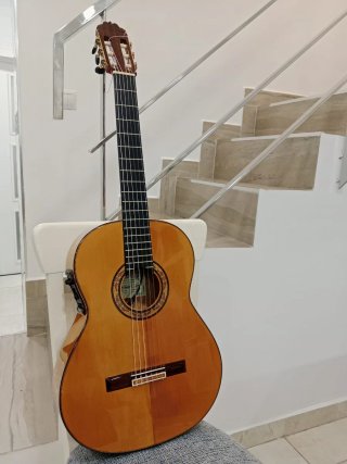 Guitarra Flamenca Hnos. Sanchís López 1F