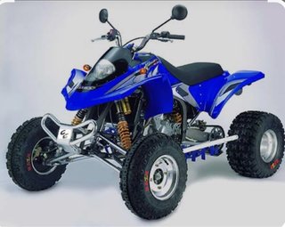 Gas Gas Wild 300
