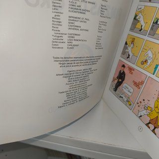 Lote 14 cómics de Tintín en rústica