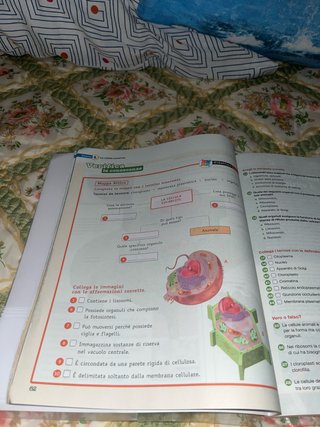 Ecosfera. Biologia. Per le Scuole superiori