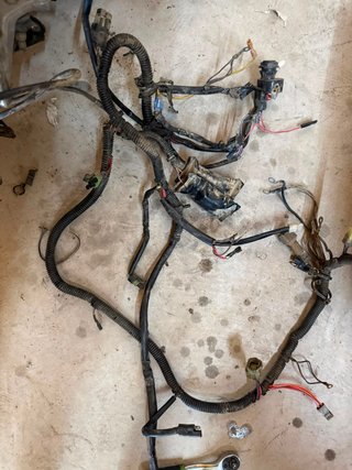 Cableado Polaris Predator 500