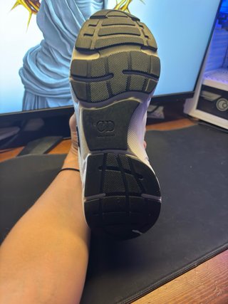 Zapatillas Dior B22 Blancas y Plateadas
