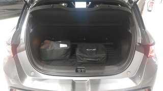 BYD Dolphin DESIGN 2026