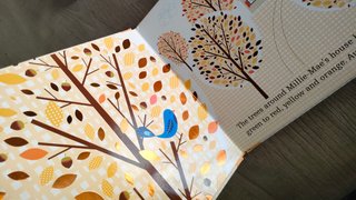 4 libri illustrati Millie-Mae seasons in inglese