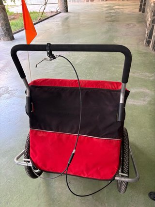 Carro para niños bici/camino