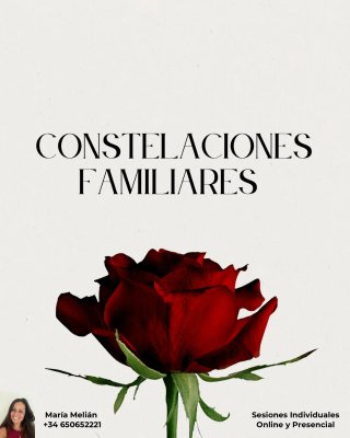 ✨Constelaciones Familiares✨