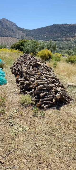 Leña para chimenea o barbacoa