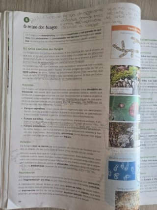 Bioloxía, Xeoloxía e Ciencias Ambientais 1.