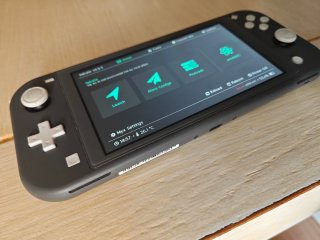 Nintendo Switch Lite Gris + Funda y Cargador