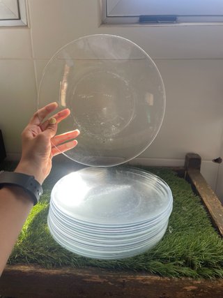 250 Platos Cristal Transparentes
