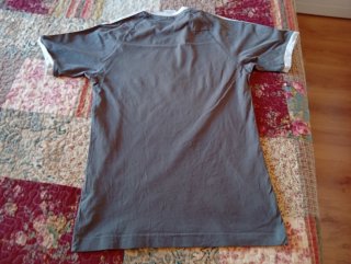Camiseta Adidas Gris