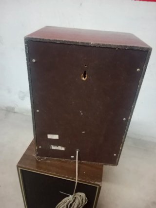 Altavoces Phillips Marrones y Negros