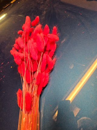 3 mazzi fiori secchi colore magenta