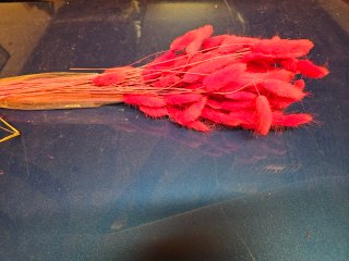 3 mazzi fiori secchi colore magenta