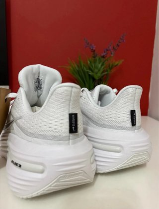 Zapatillas Nike Air Winflo 12