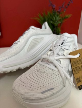 Zapatillas Nike Air Winflo 12