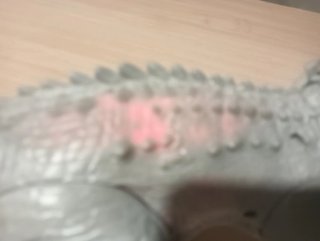 Dinosaurio Indominus Rex original