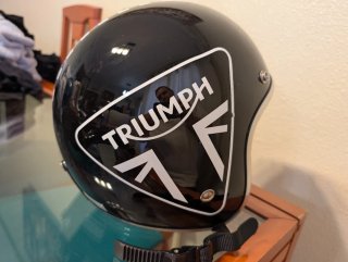 Casco  Vintage Negro pendejo iguana custom
