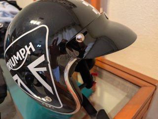 Casco  Vintage Negro pendejo iguana custom