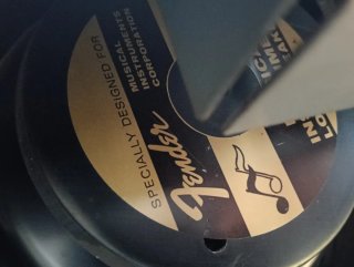 Amplificador Fender Blues Junior