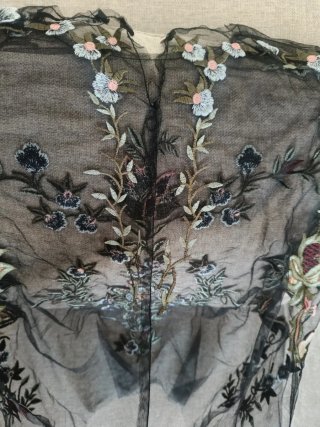 Camisa transparente bordada
