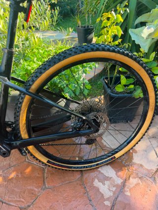 Bicicleta de montaña