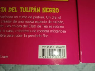Lote 5 libros Tea Stilton