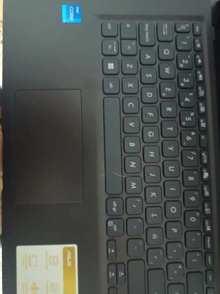 ASUS Vivobook 14 Nero con Decorazioni Floreali