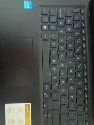 ASUS Vivobook 14 Nero con Decorazioni Floreali