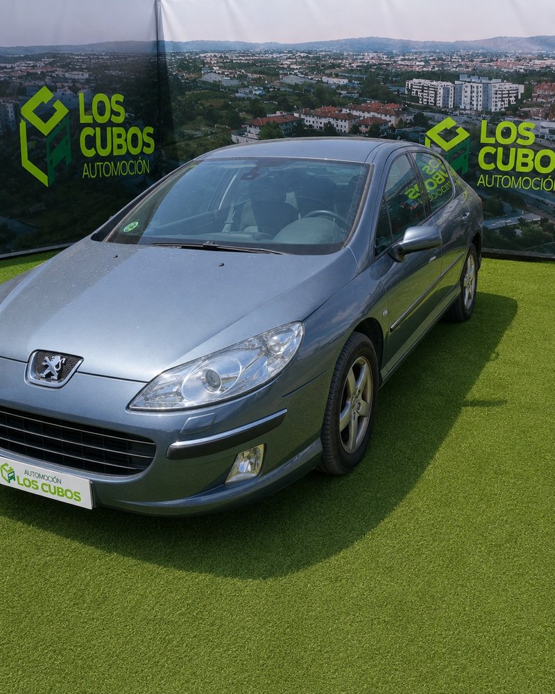 Peugeot 407 SW 2.0 SR Confort 2005, foto 6