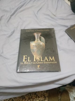 Historia del arte: Prehistoria y primeras cultu...