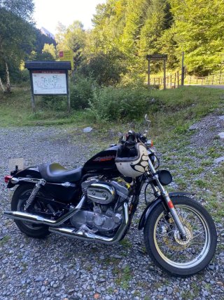 Harley Davidson 883 Carburación 2005