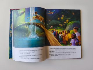 Llibre Encanto de Disney