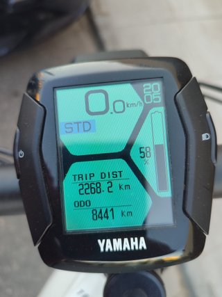 Bicicleta eléctrica Trekking 8