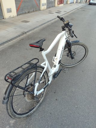 Bicicleta eléctrica Trekking 8