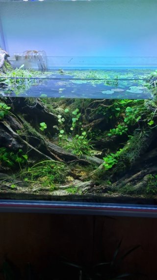 Pantalla LED Acuario 110cm 200W Casera