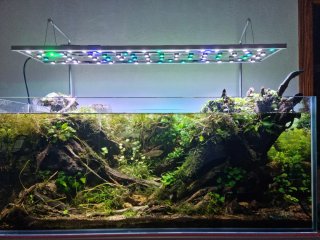 Pantalla LED Acuario 110cm 200W Casera
