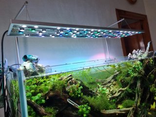 Pantalla LED Acuario 110cm 200W Casera