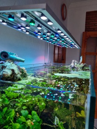 Pantalla LED Acuario 110cm 200W Casera