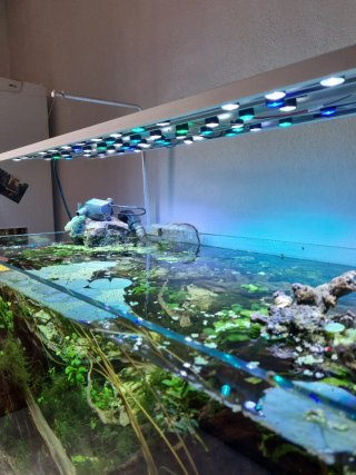 Pantalla LED Acuario 110cm 200W Casera