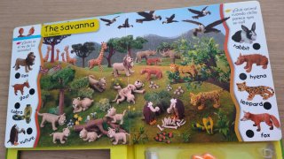 Aprendo inglés con los animales salvajes.
