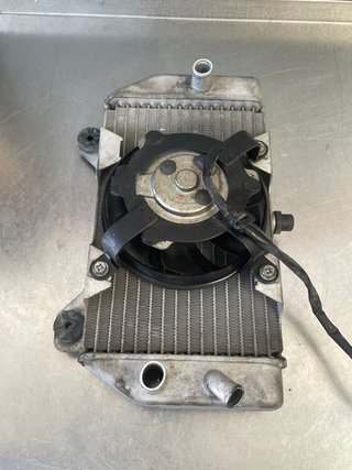 Radiador Forza 250 2008 ABS