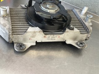 Radiador Forza 250 2008 ABS
