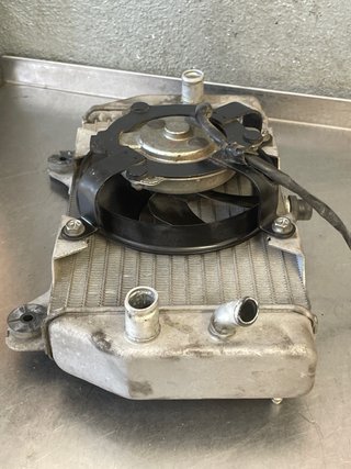 Radiador Forza 250 2008 ABS