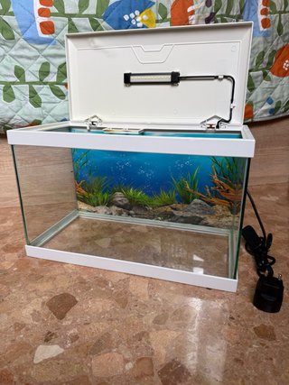Acuario 20L con accesorios (peces/tortugas)