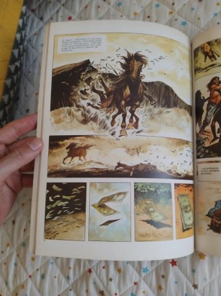 El pequeño Salvaje comic José Ortiz