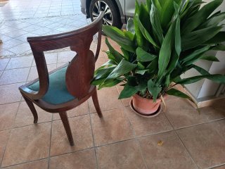 Sillas de madera maciza con tapizado de terciopelo