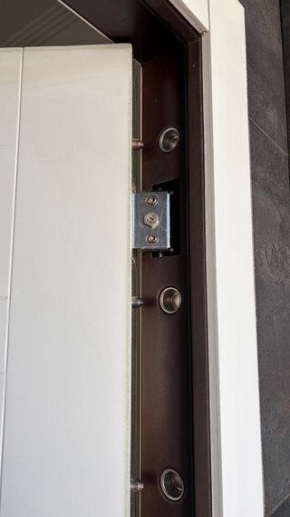 Puerta de calle seguridad